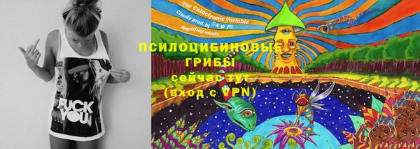 ПСИЛОЦИБИНОВЫЕ ГРИБЫ Абаза