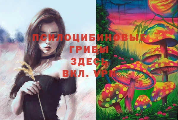 марки nbome Алексин