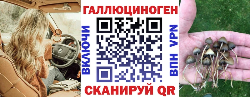 Галлюциногенные грибы Cubensis  Когалым 